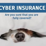 Cyber Insurance Safety Net