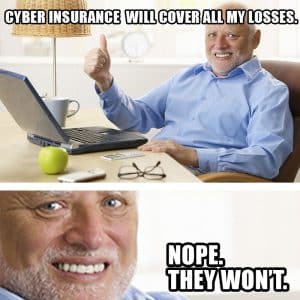 Cyber insurance safety net