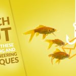 phishing and social engineering techniques
