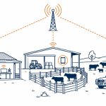 IT for agriculture: flat vector of a farm office, shed, yards, and paddock connected by network signal, with a tablet in the shed and a laptop in the office.