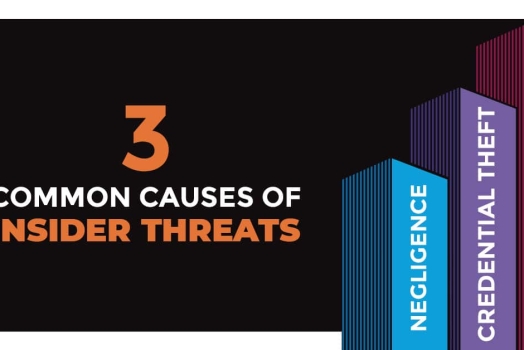 Insider Threats – Security Controls and Best Practices